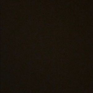 Meet your Posher, Rhiannon